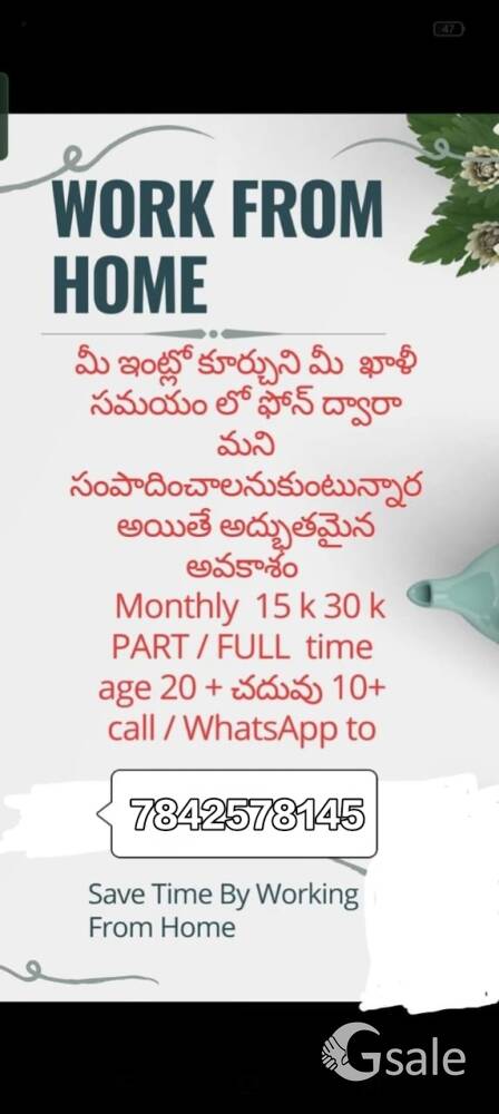 sale executive 