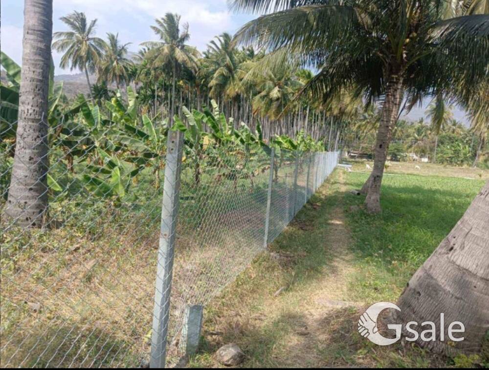 FARM LAND FOR SALE IN CITY LIMIT SALEM 