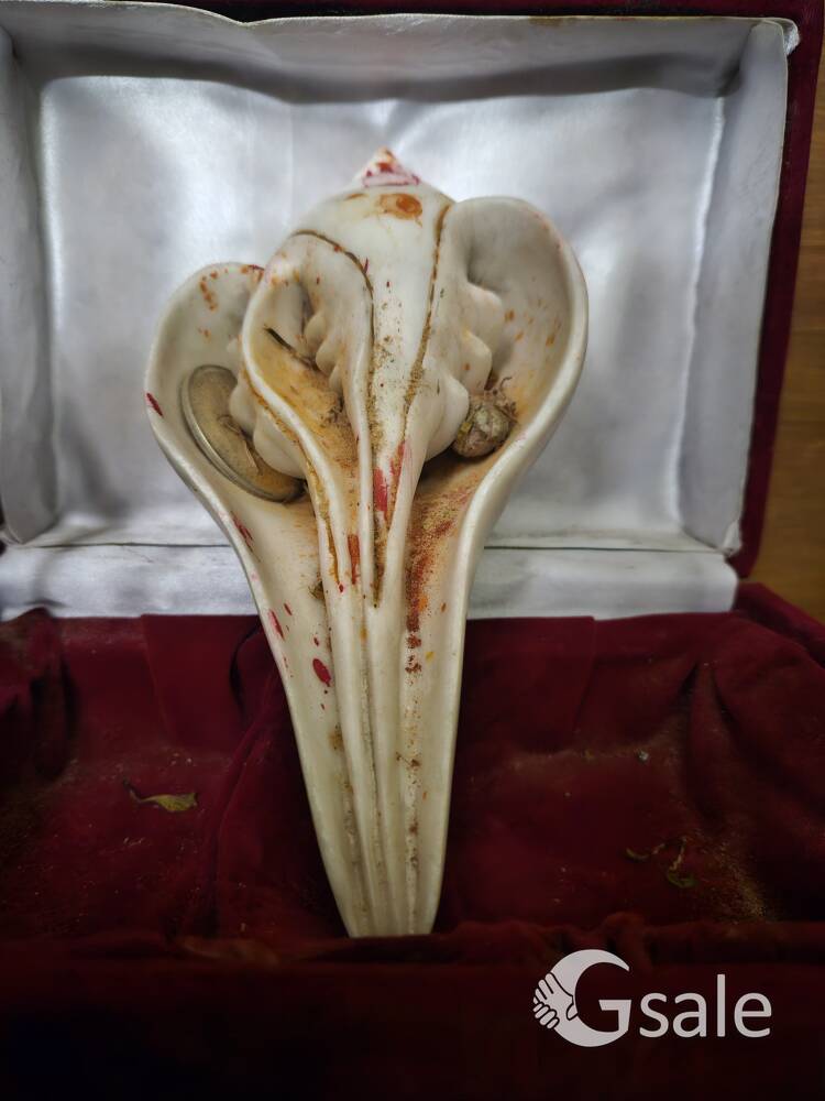 swayambhu natural ganesha 