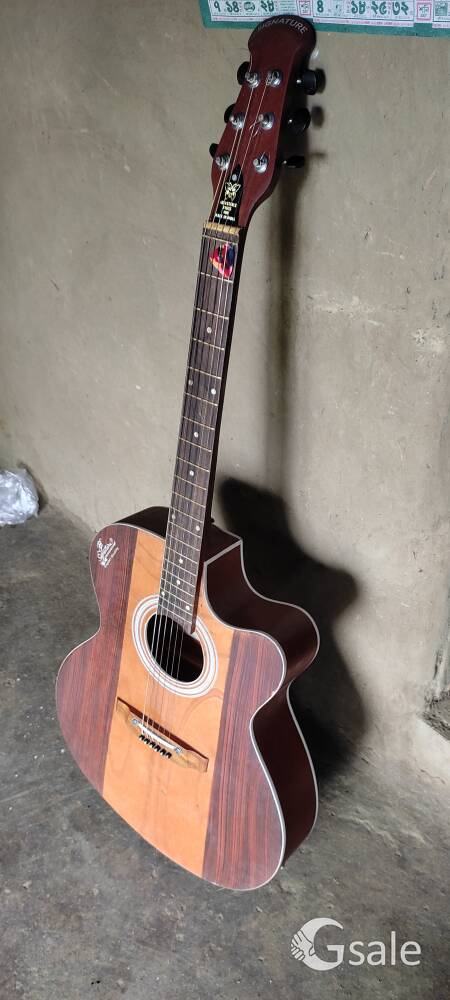 Acoustic Guitar