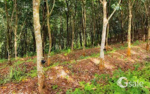 Land for sale 
