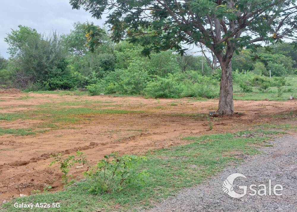 plot in kothur,near shamshabad 