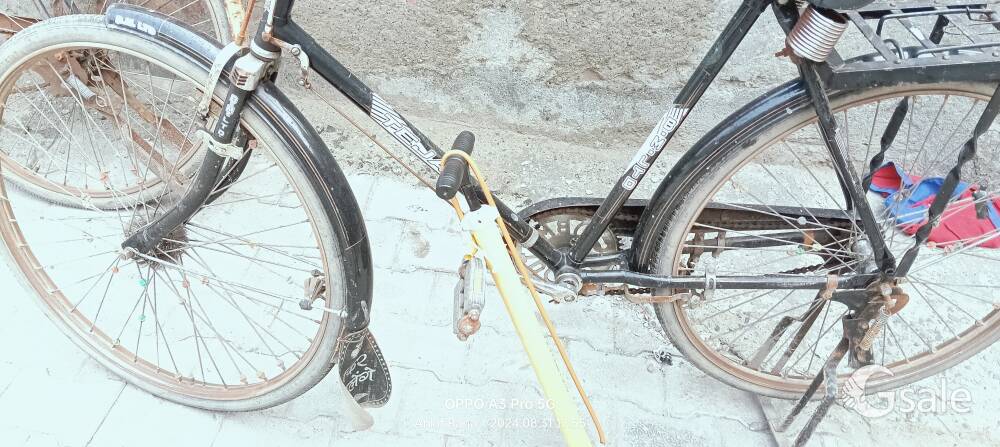 cycle*****