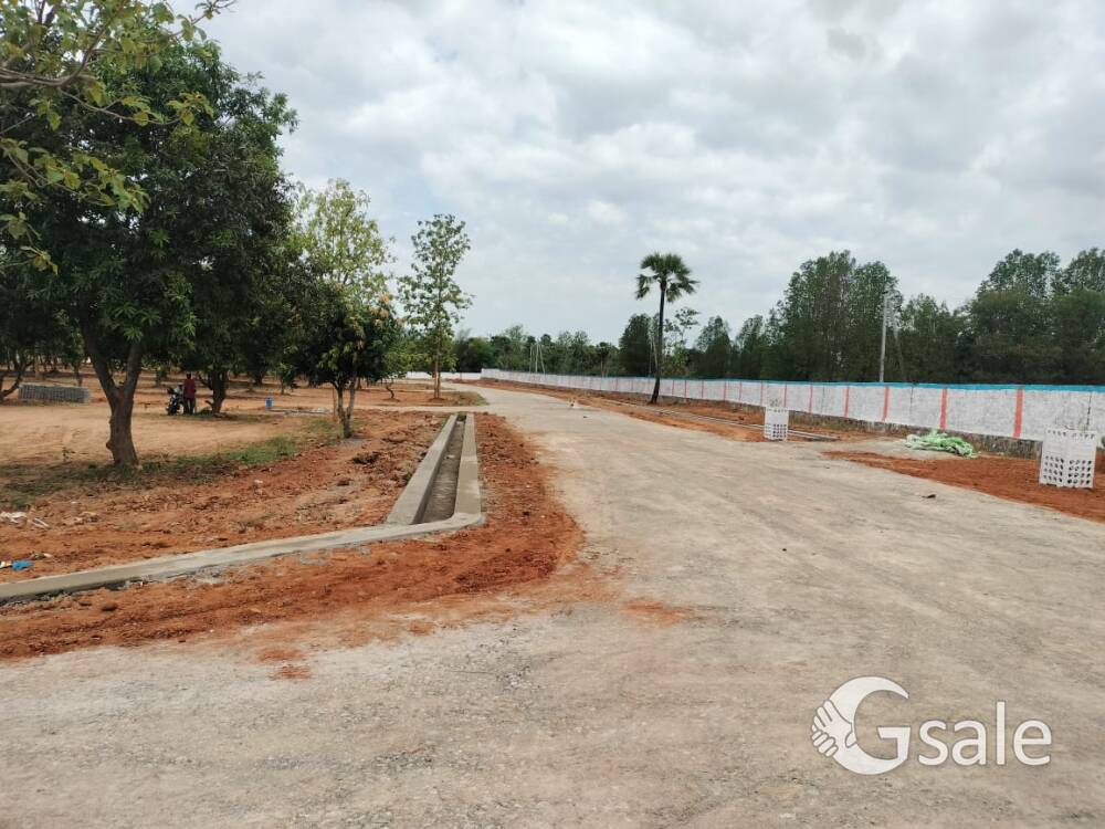 Open Plots for sale in Dakamarri Village @ Vizag