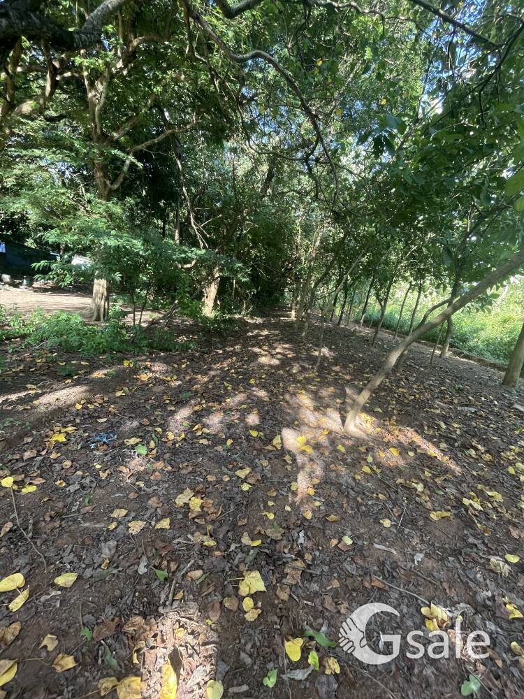 11 cent for sale near chennapalli junction
