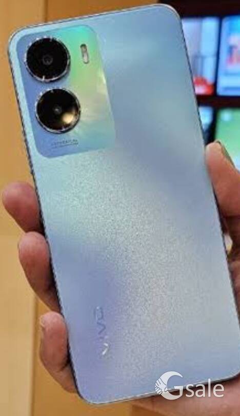 Vivo T2X 5g 