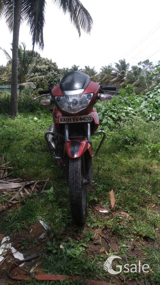 mujaheed  