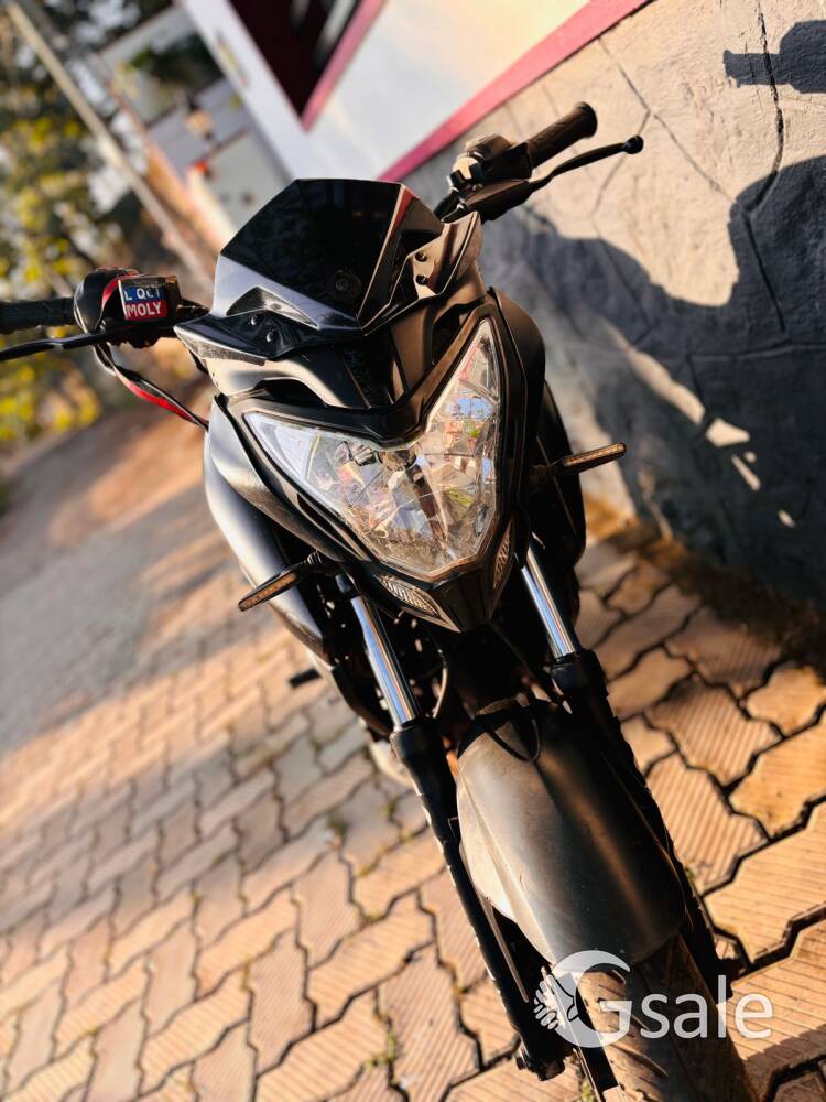 modified NS 160