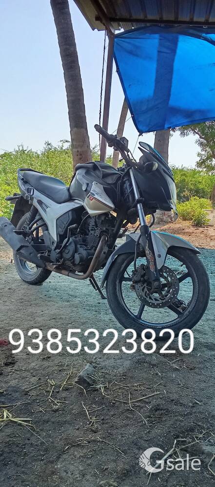 YAMAHA SZR// FIXED PRICE