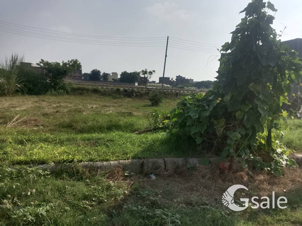 33×40= 148 gaj recidatial plot available for sale on New enclave Bupindera enclave esapur DerabassiF
