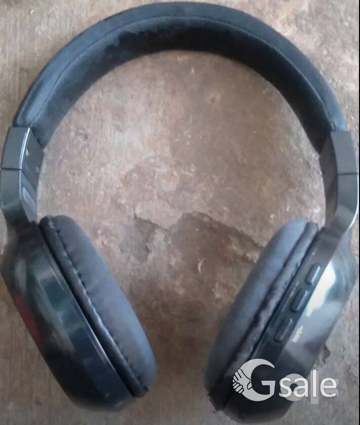 Leaf Ear Bass 2