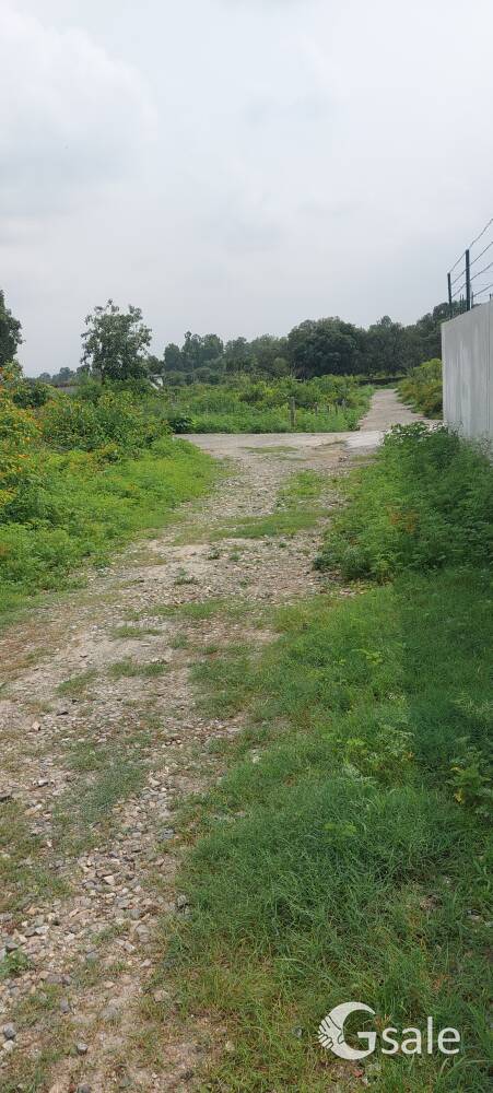 plot in dehradun