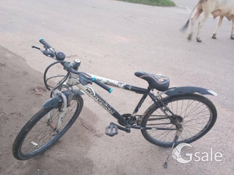ciycal dana ha 