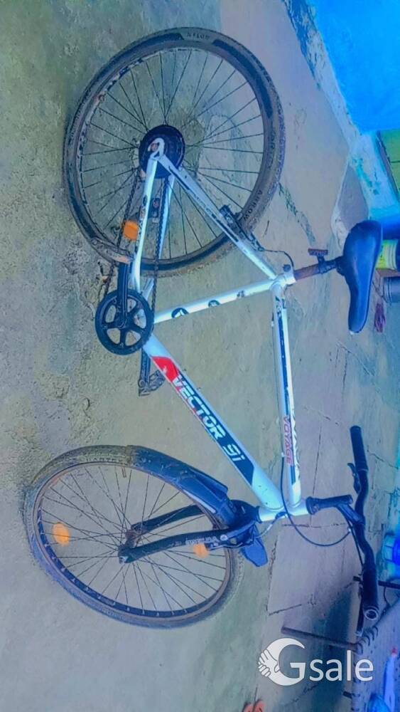 single speed bicycle 3 month old