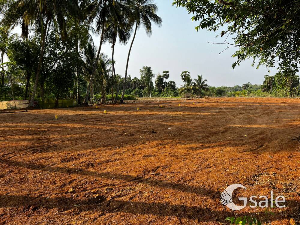Land for sale 