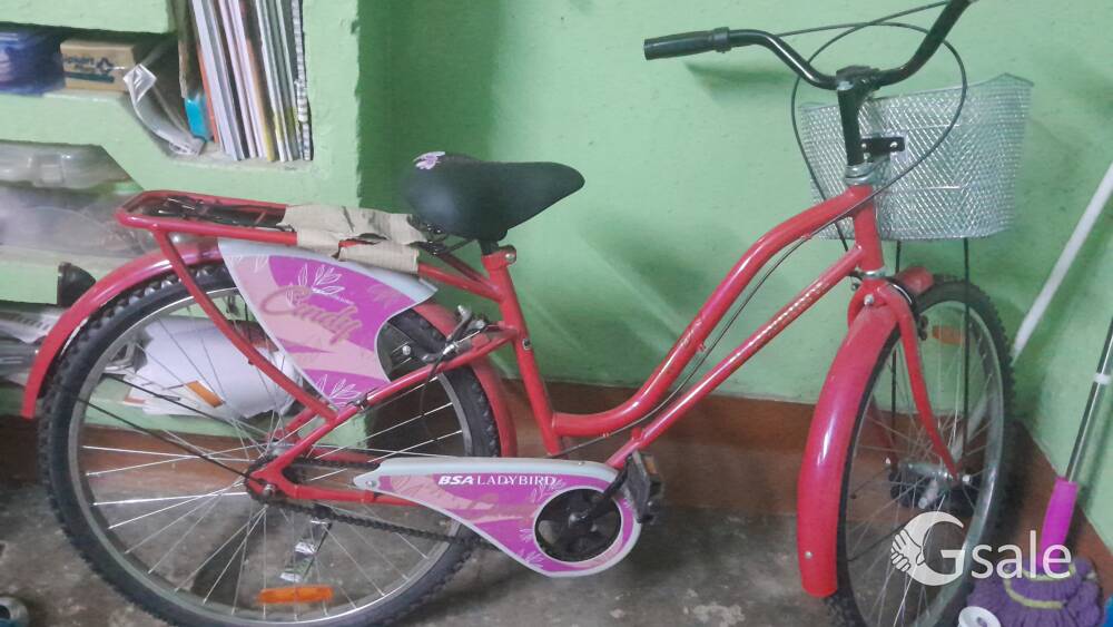 ladybird  cycle 