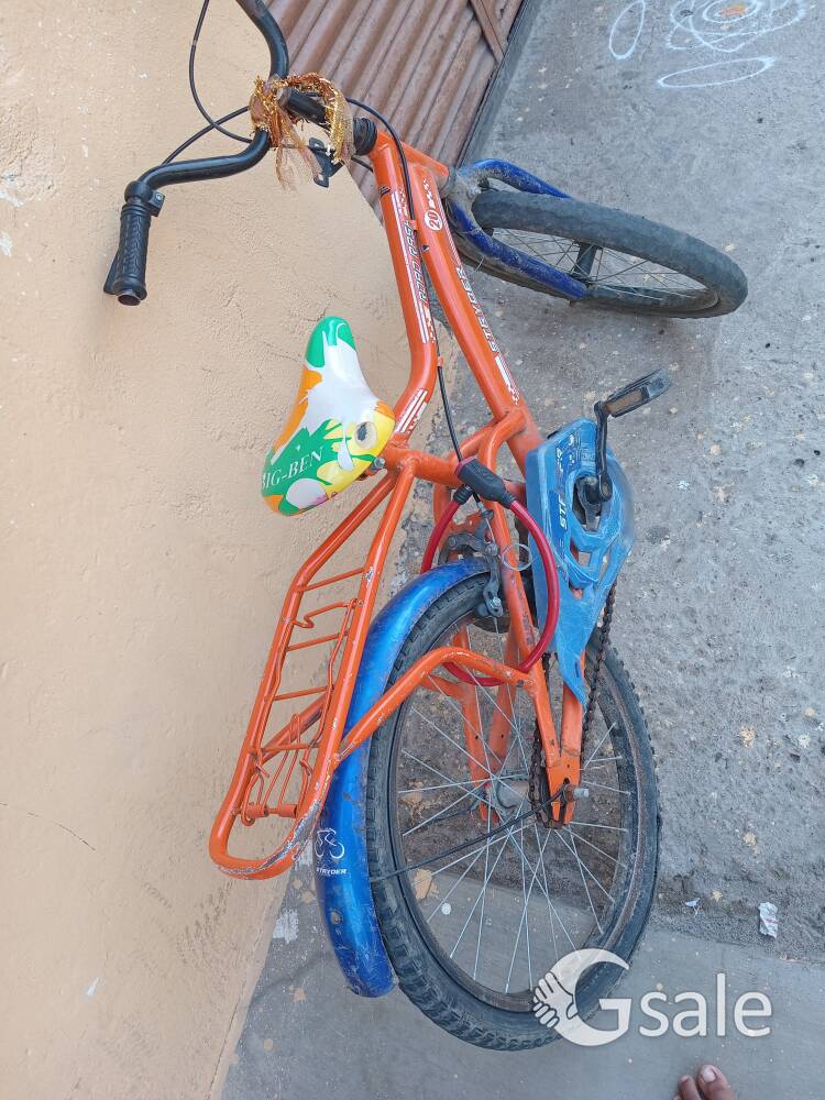 1 year old cycle 