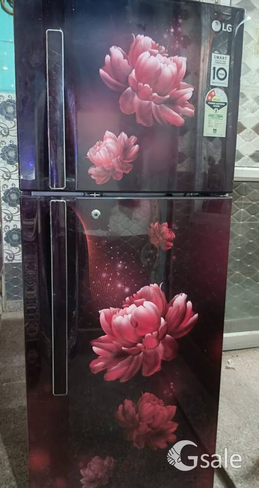 LG Refrigerator 