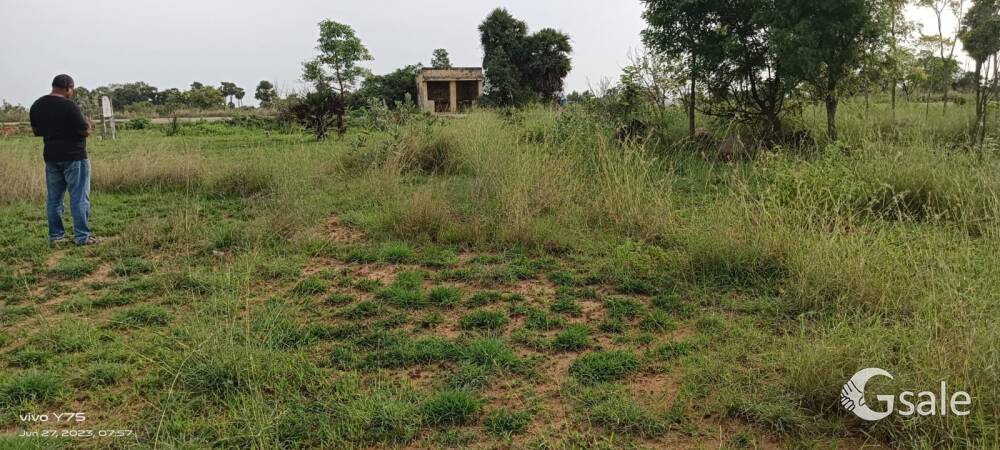 Land for Kanchipuram
