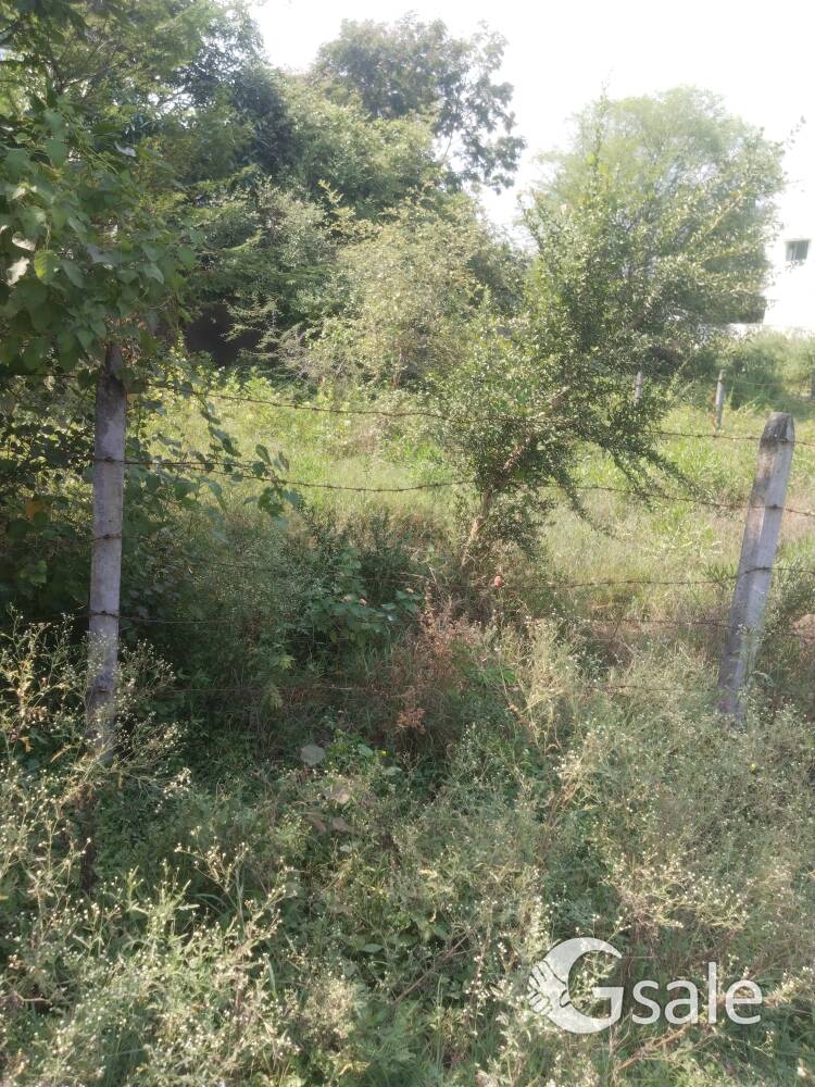manishnagar 1500 RL plot for sale mauza somalwada 