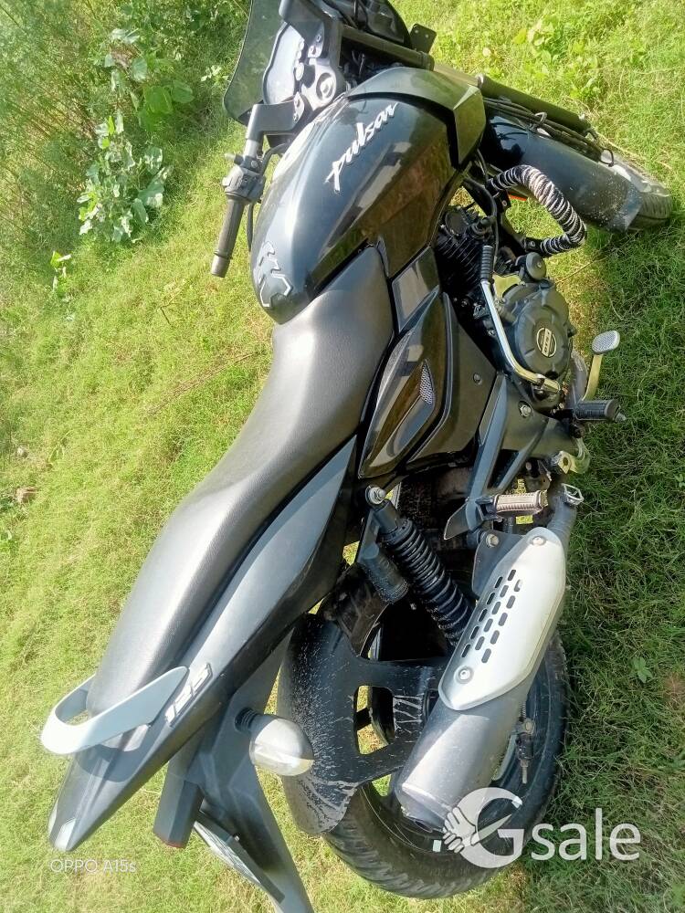 palsar 125 Nov 2020 model 