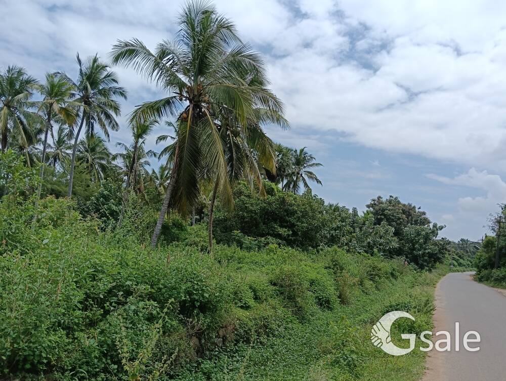 3.5acre land