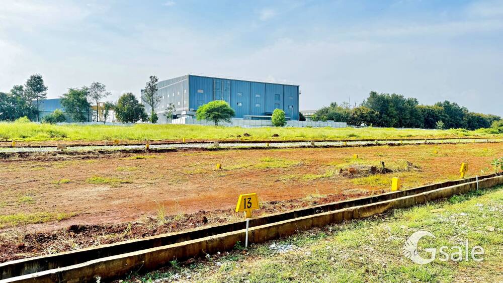 PLOTS FOR SALE 