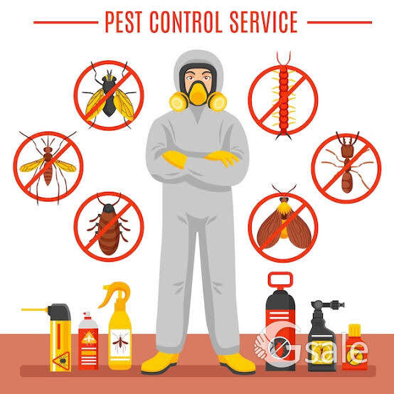 Pest control services 