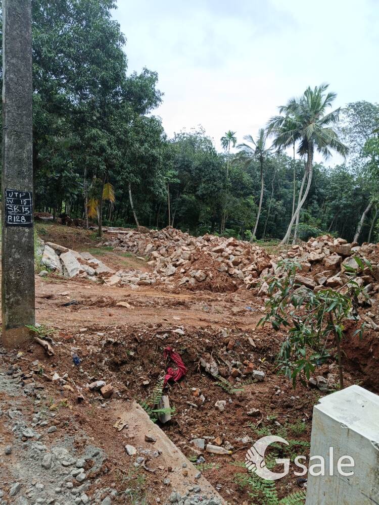 Land for Rent 