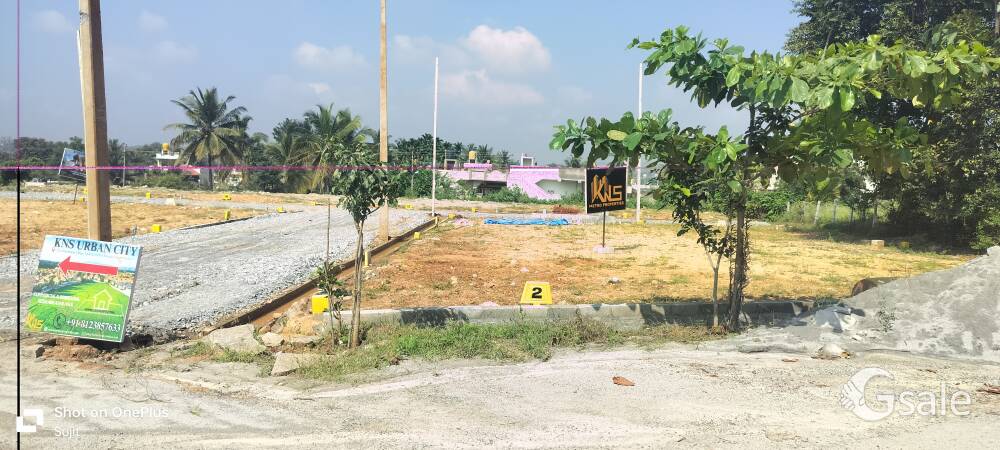 Site For Sale in Mysore road near DODDA ALLADA MARA 