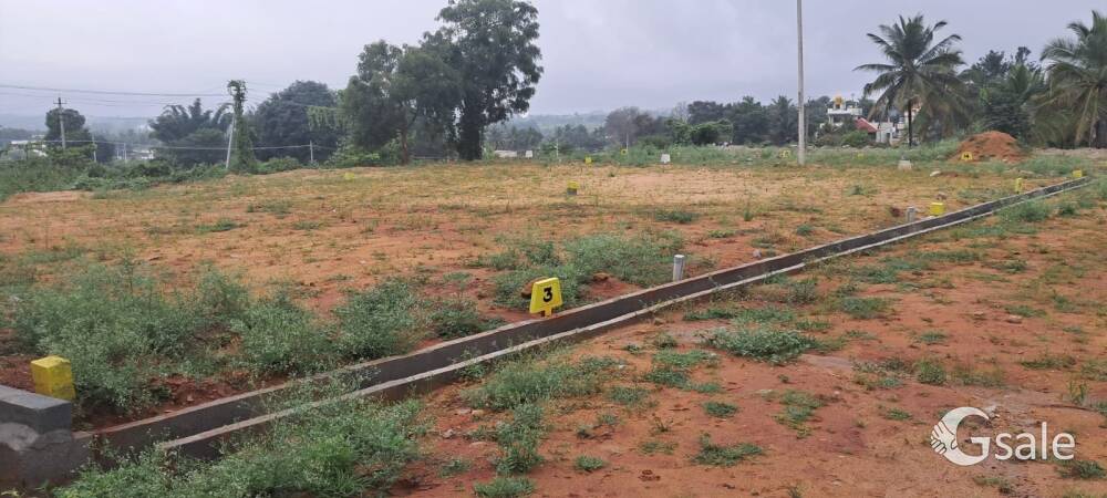 Site For Sale in Dodda Aallada Mara