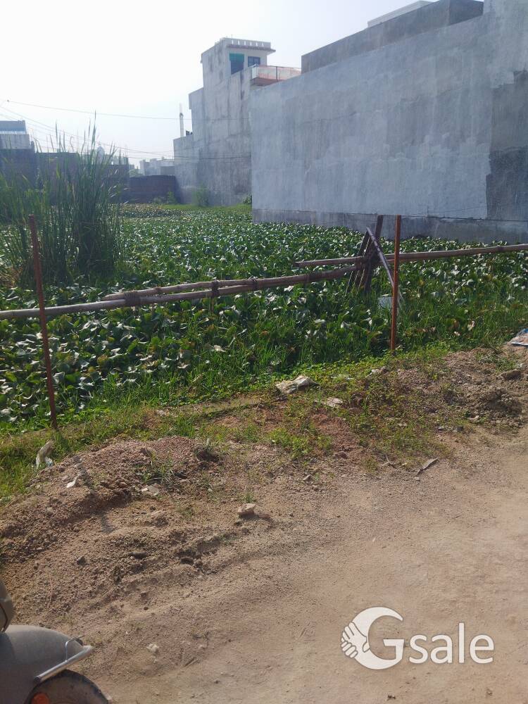 residential plot 