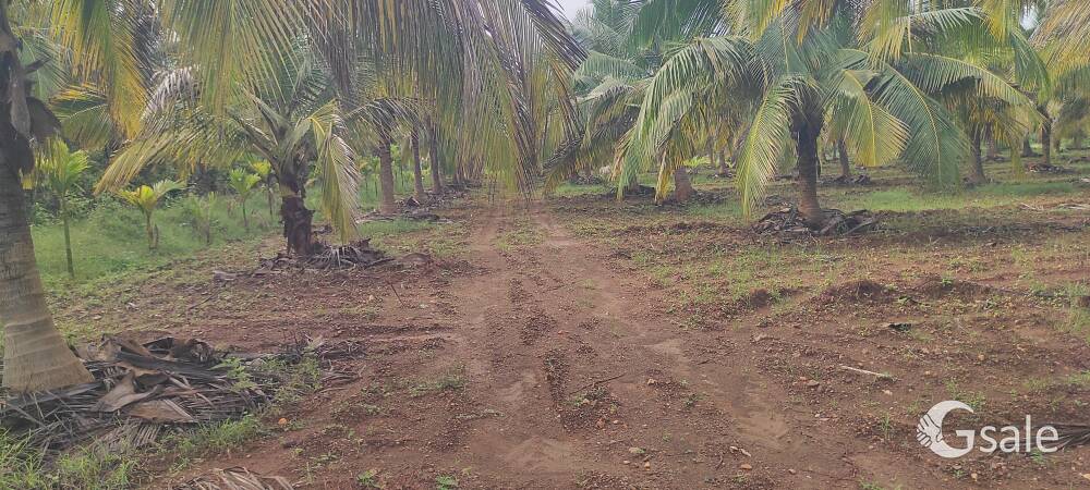 10 Acre land sale 