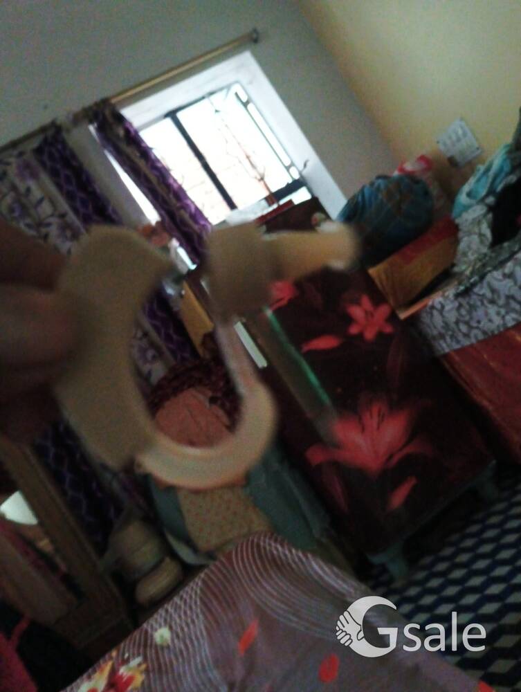kan mi masin
