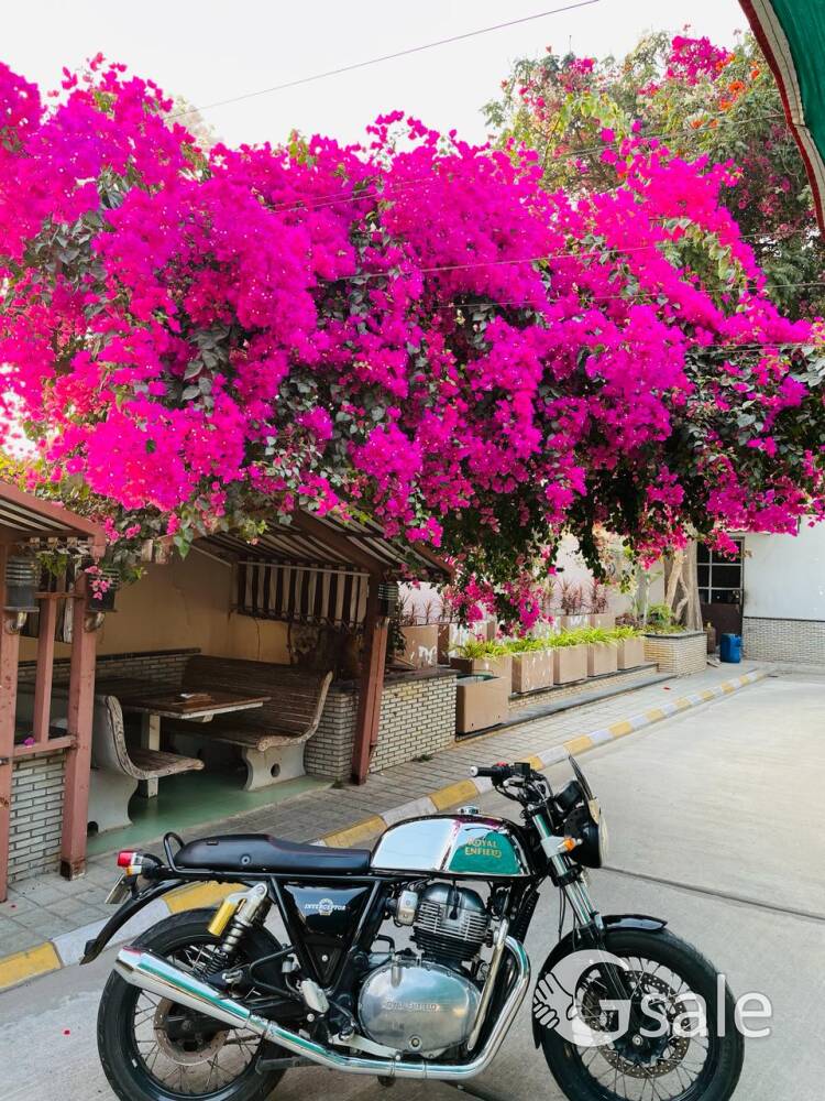 fully tuned and modified interceptor 650