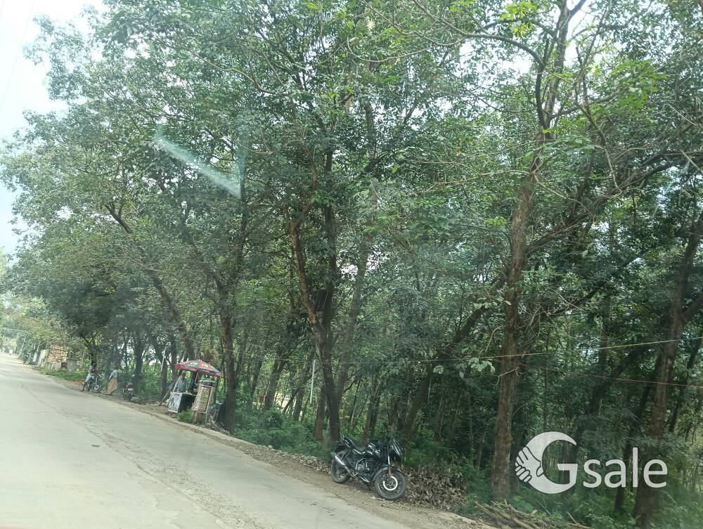 5acre land sale