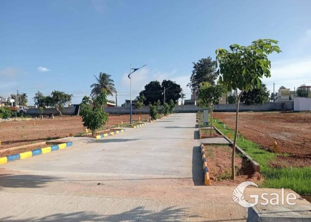 Nandi gardenia 