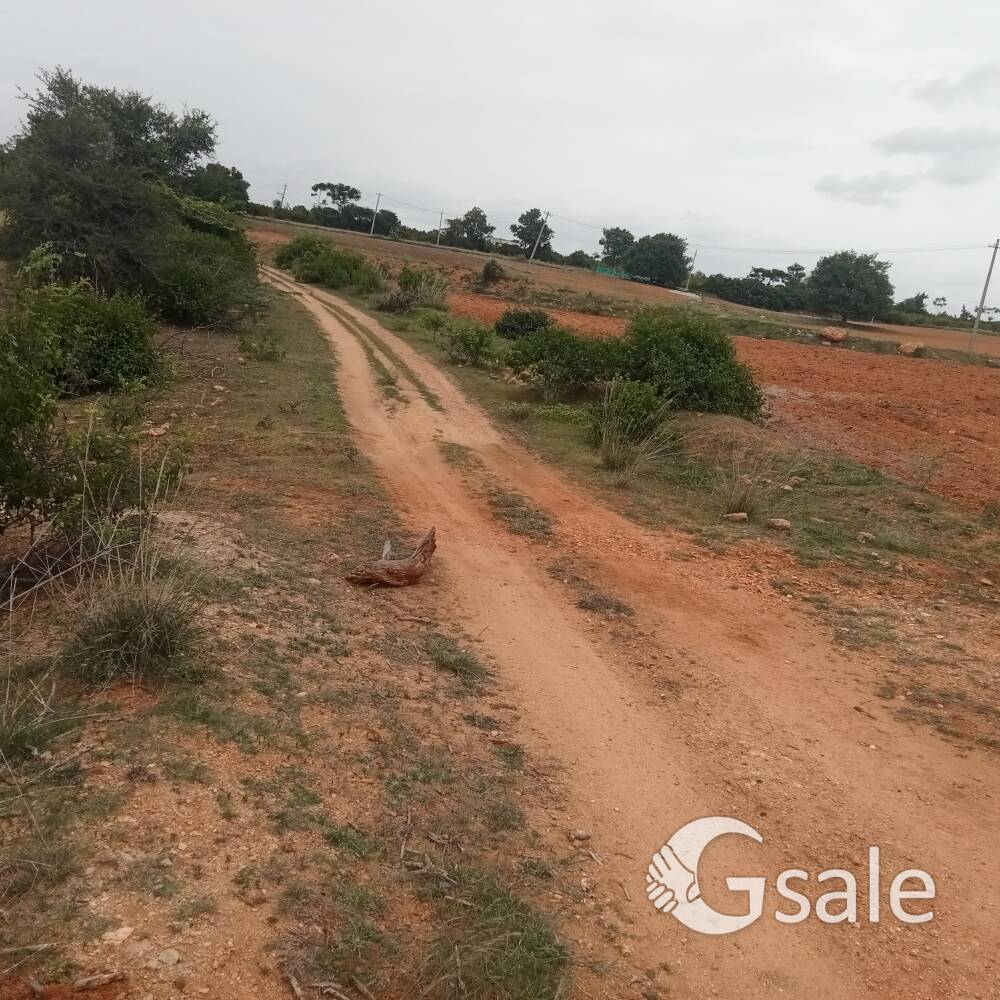 agriculture landa for sell 