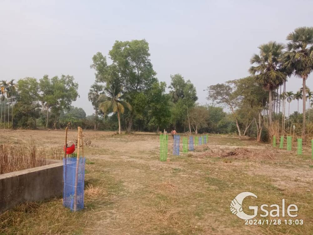Project Southern Park 