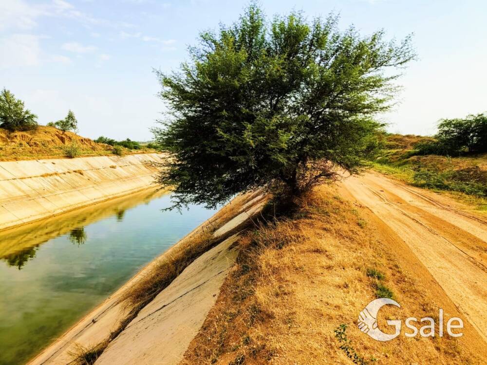 20 GUNTAS CANNAL VIEW SUPER FARM LAND BIT AT KONDAPOCHAMMA RESORVIOR - MARKOOK
