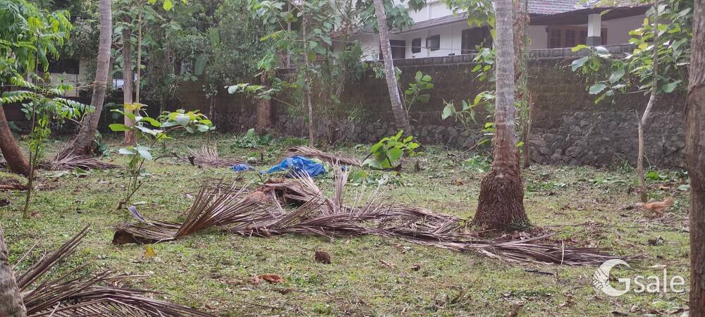 Residential area land plot sale malappuram valluvambram manjeri NH 50 miter 10 cent conduct 