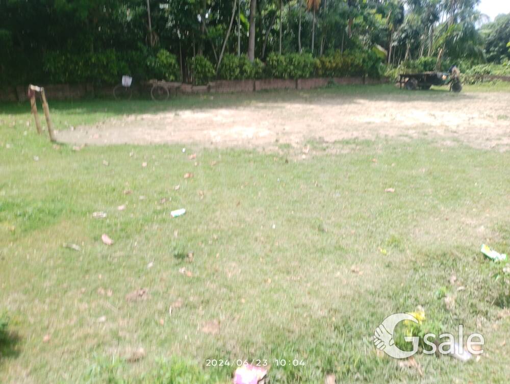 7katha plot
