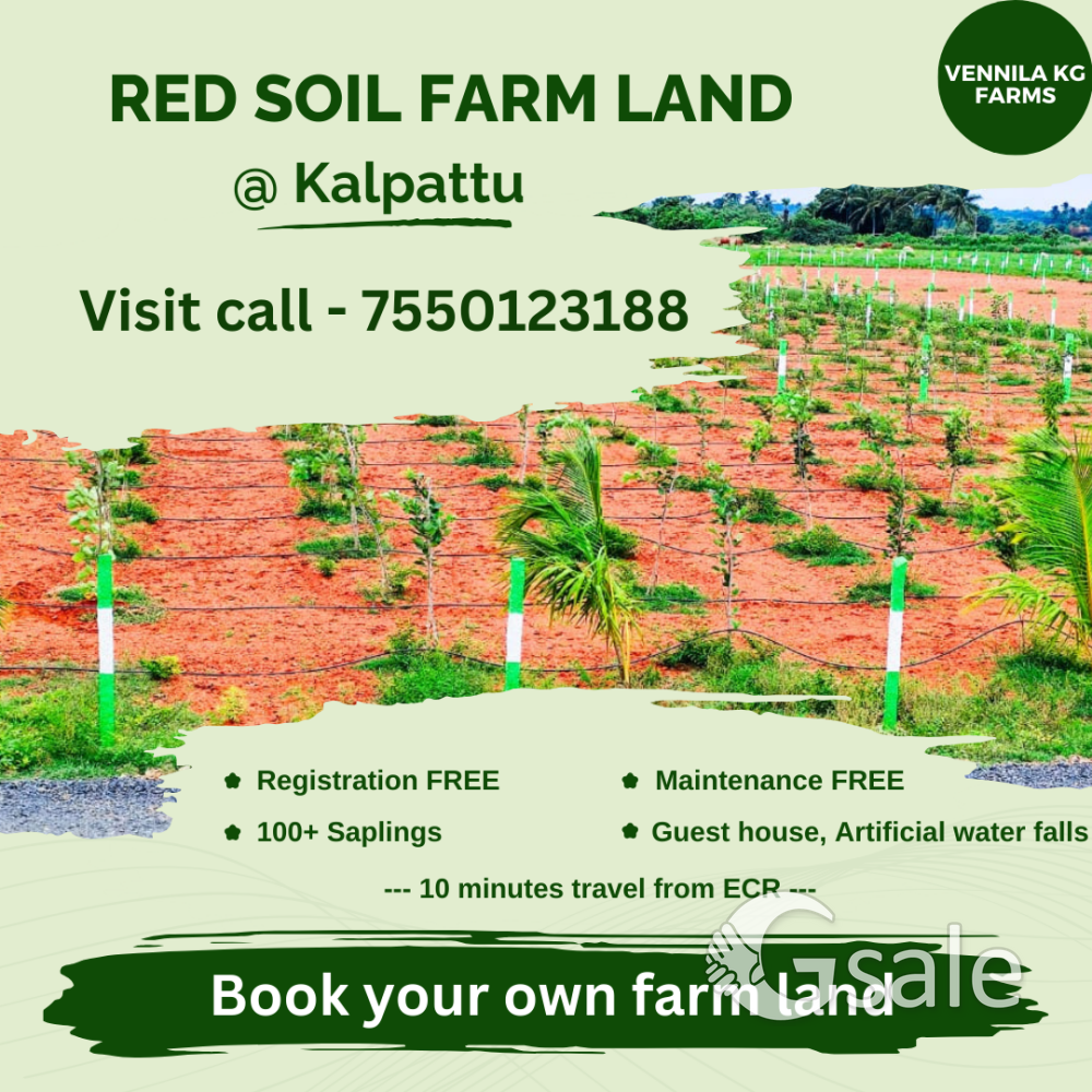 Red soil farm land for sale 