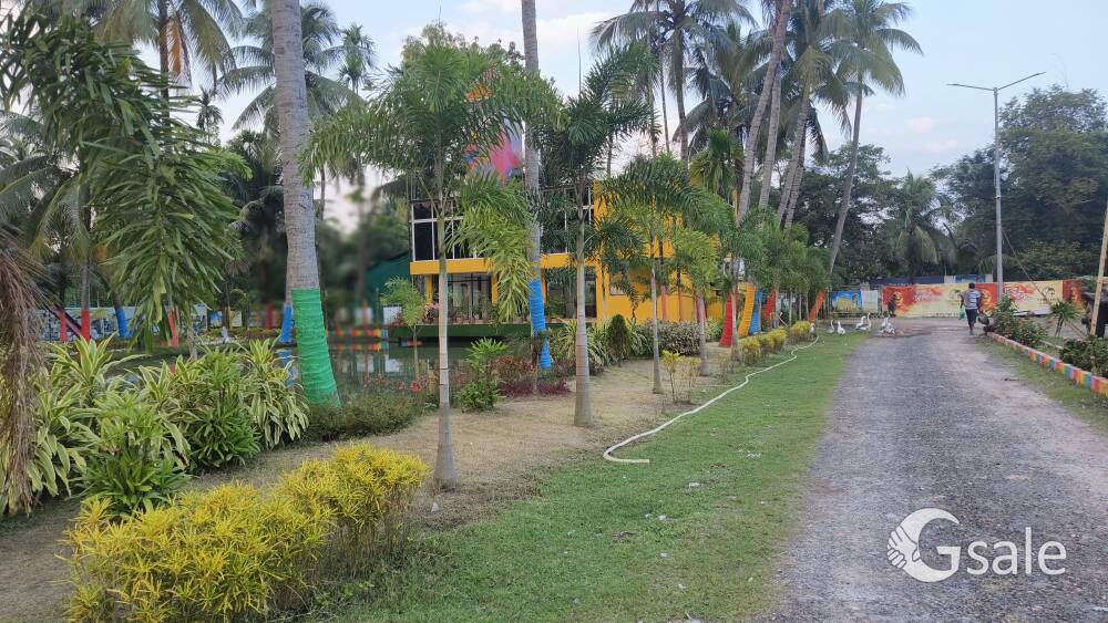 image 6