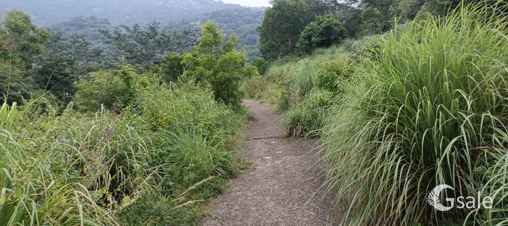 65 acre patta 135 acre porampokku total area 200 acre RATE 13 cross
