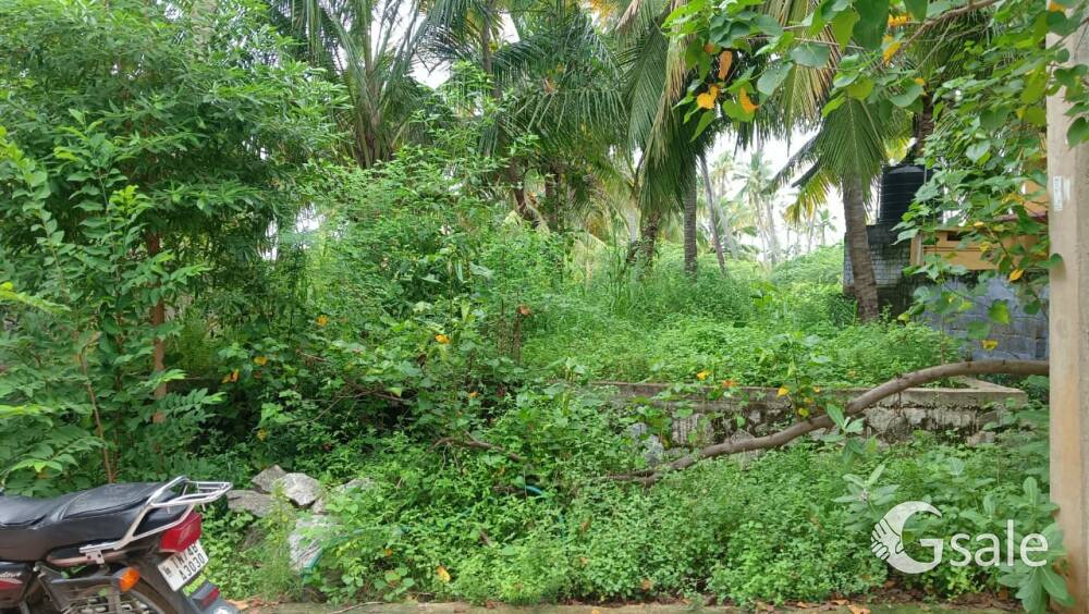 3 cents of land with coconut trees and 6-foot foundation in puttalam, aariyaperumal colony