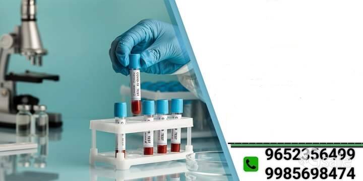 in Guntur all blood test or available with me