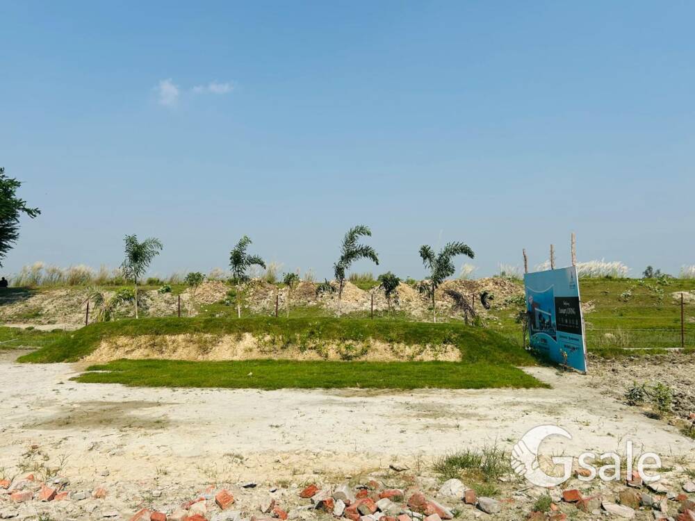 image 13