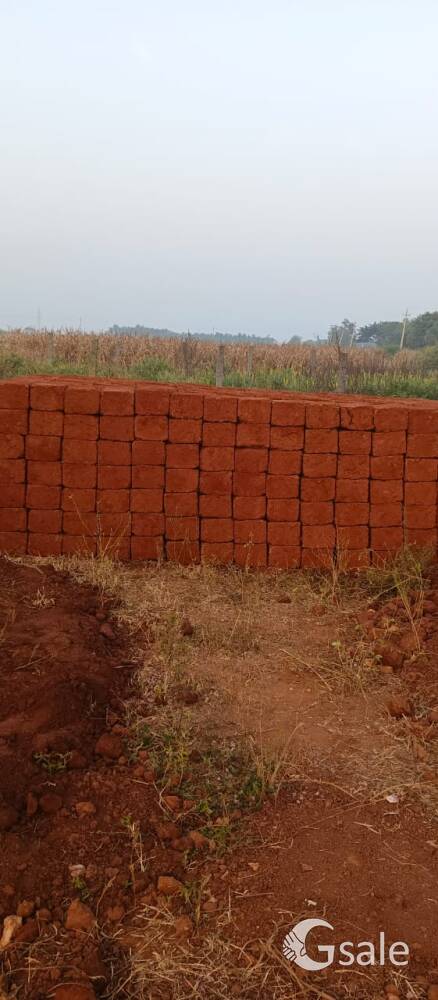 Laterite stone