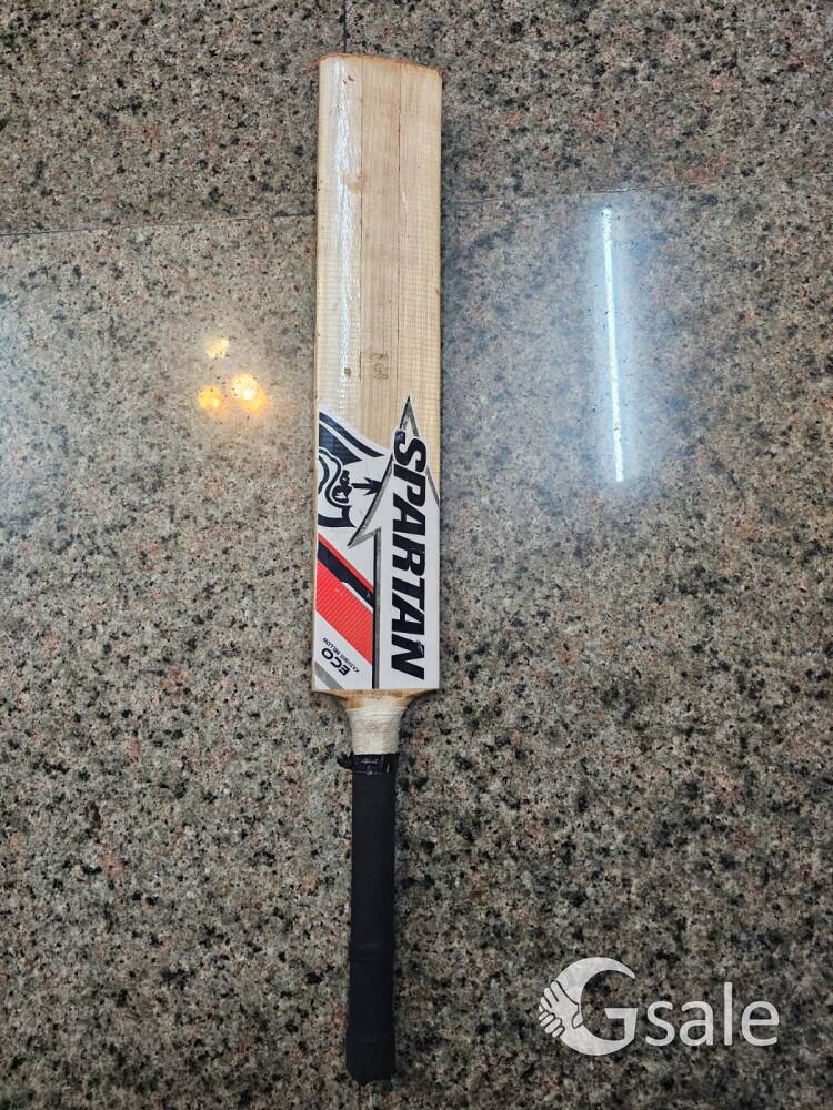 Spartan kashmir willow bat 
